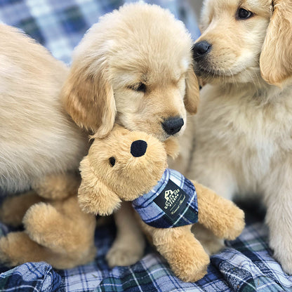 8 in. Golden Dog Farm Puppy, Campbell